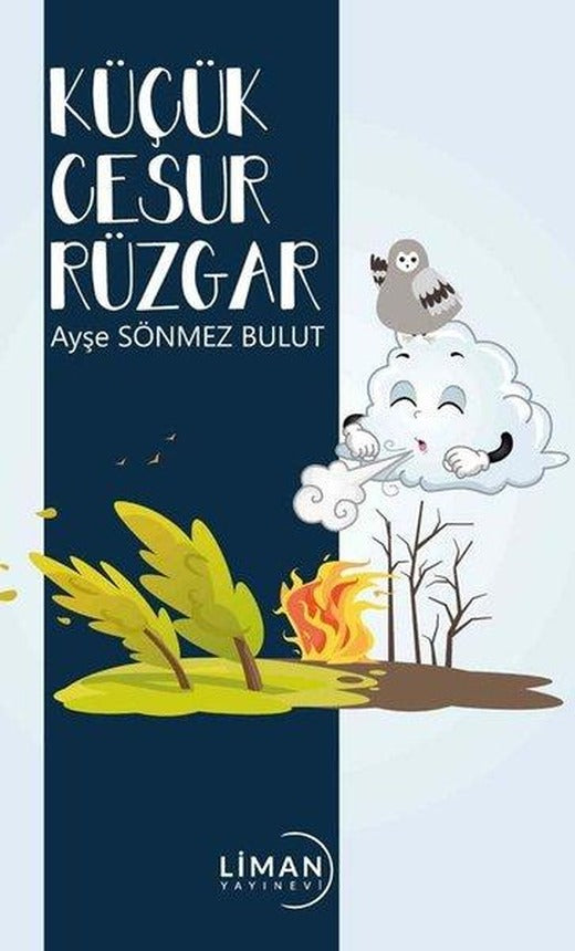 Küçük Cesur Rüzgar | Liman Yayınevi (İnce Kapak)