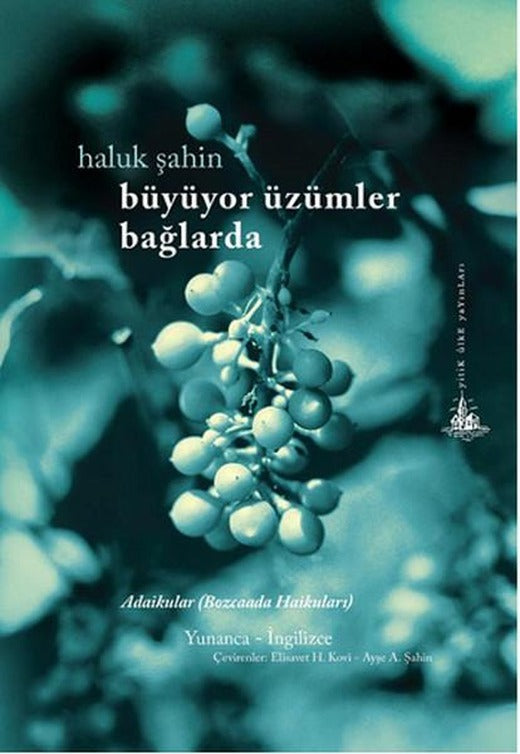 Büyüyor Üzümler Bağlarda - Bozcaada Haikuları | Yitik Ülke Yayınları (İnce Kapak)