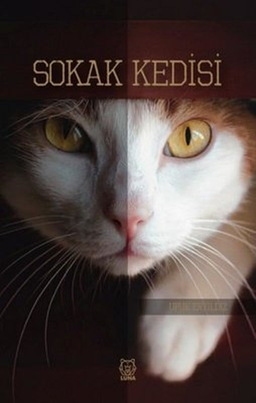 Sokak Kedisi | Luna Yayınları