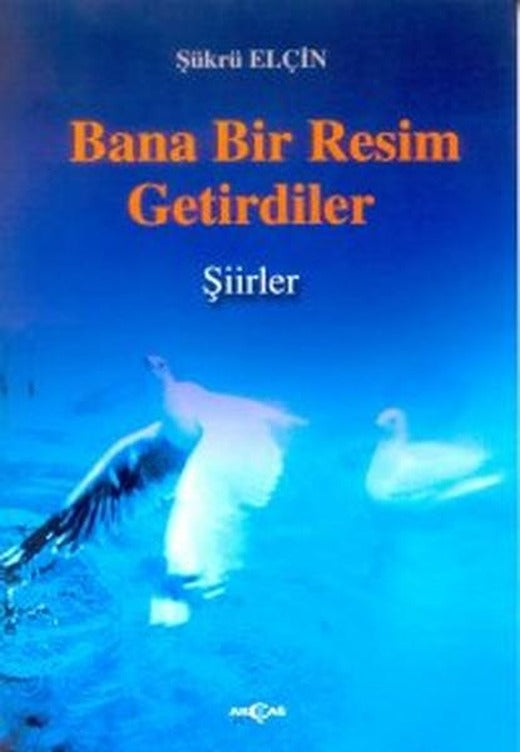 Bana Bir Resim Getirdiler | Akçağ Yayınları - Şiir Dizisi (İnce Kapak)