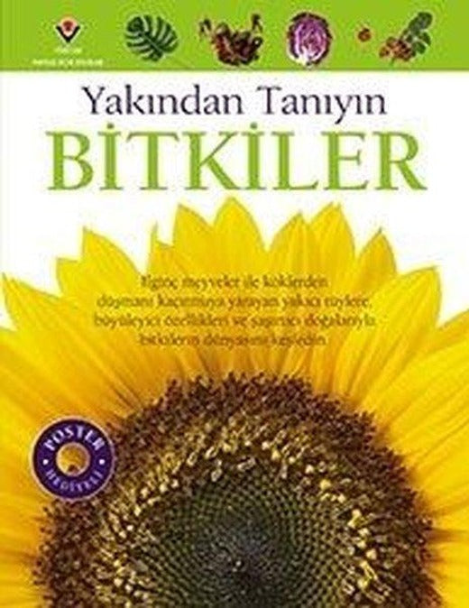 Bitkiler-Yakından Tanıyın | Tübitak Yayınları (İnce Kapak)