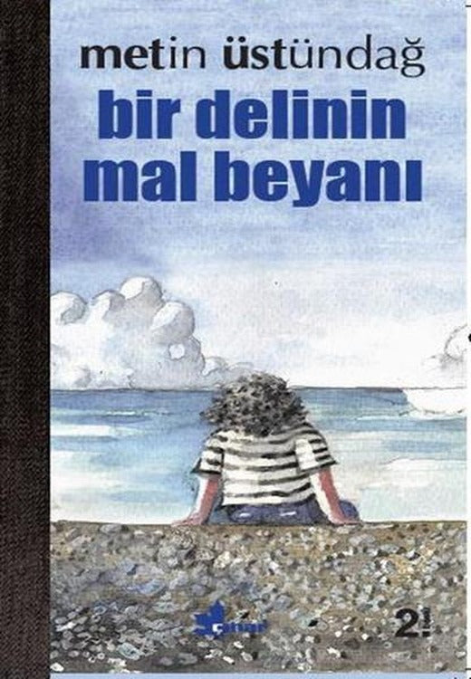 Bir Delinin Mal Beyanı | Çınar Yayınları (İnce Kapak)