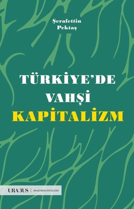 Türkiye'de Vahşi Kapitalizm | URANUS