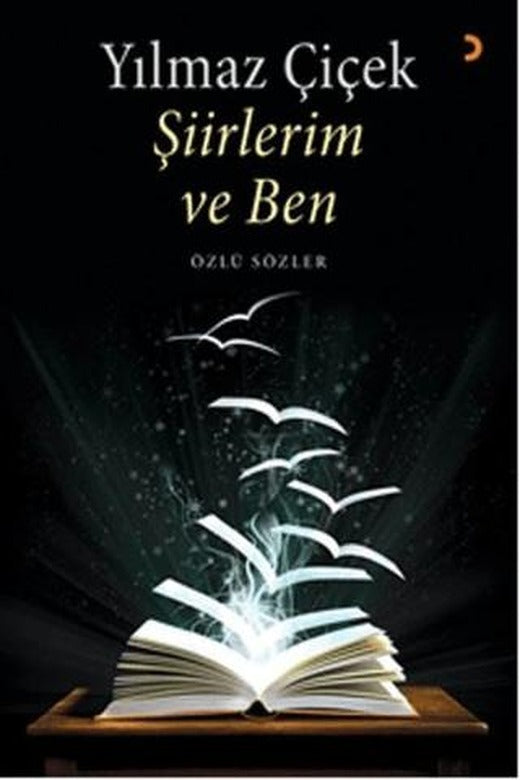 Şiirlerim ve Ben