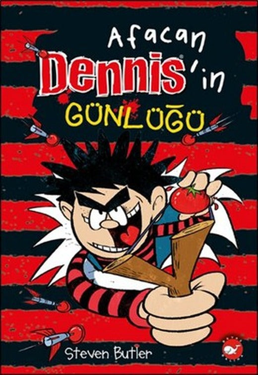 Afacan Dennis'in Günlüğü 1 | Beyaz Balina Yayınları