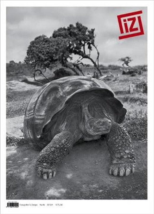 İz Dergisi Sayı: 46 | Fotoğrafevi Yayınları (Ciltsiz)