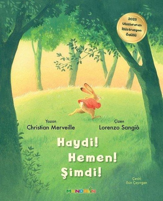 Haydi! Hemen! Şimdi! | Mandolin (İnce Kapak)
