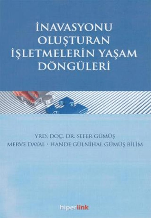 İnavasyonu Oluşturan İşletmelerin Yaşam Döngüleri | Hiperlink Yayınları (Ciltsiz)