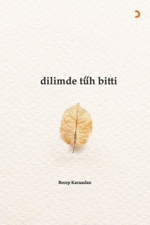 Dilimde Tüh Bitti | Cinius (İnce Kapak )