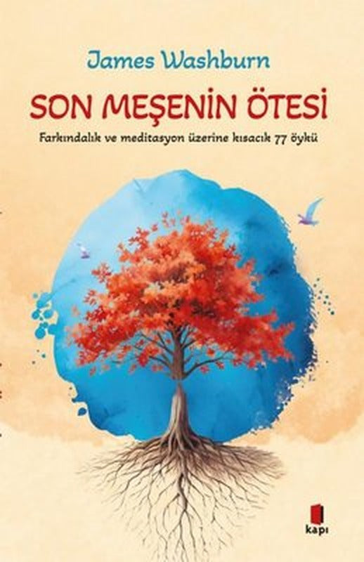 Son Meşenin Ötesi - Farkındalık ve Meditasyon Üzerine Kkısacık 77 Öykü | Kapı Yayınları (İnce Kapak)