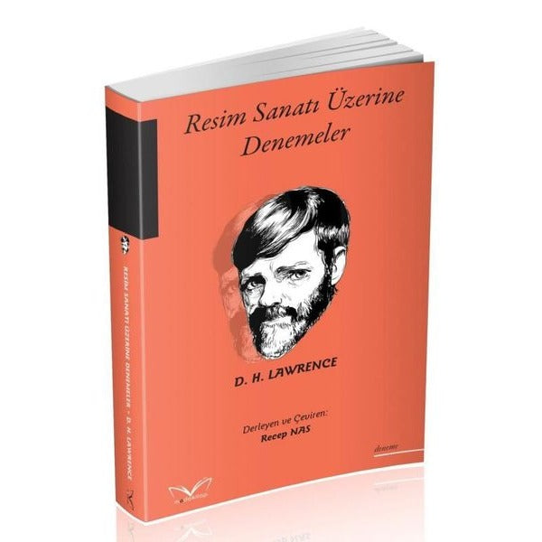 Resim Sanatı Üzerine Denemeler | MedaKitap (İnce Kapak)
