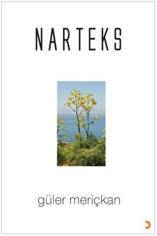 Narteks | Cinius (İnce Kapak)