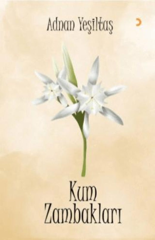Kum Zambakları