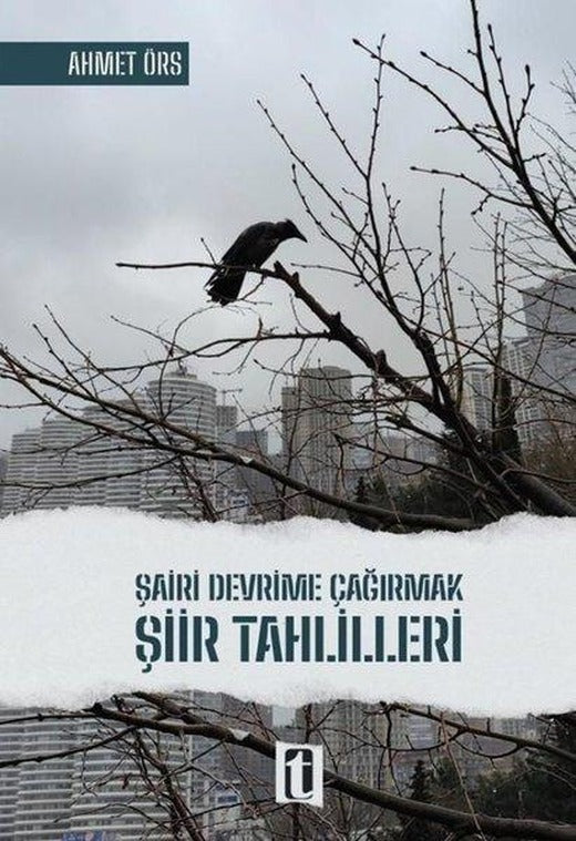 Şairi Devrime Çağırmak - Şiir Tahlilleri | Tasfiye Kitaplığı (İnce Kapak)