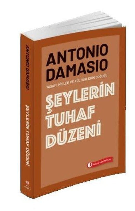Şeylerin Tuhaf Düzeni | ODTÜ Yayıncılık (İnce Kapak)