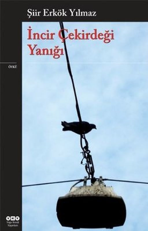 İncir Çekirdeği Yanığı | Yapı Kredi Yayınları