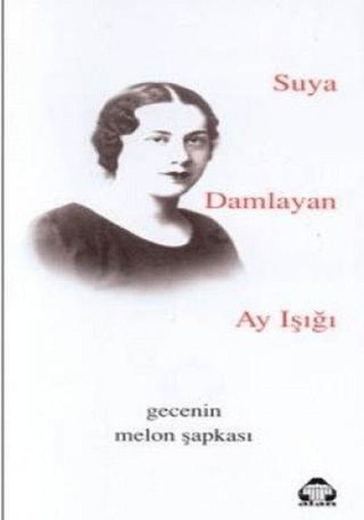 Suya Damlayan Ay Işığı | Alan Yayıncılık (Ciltsiz)