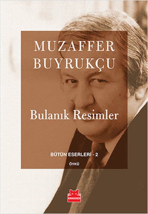 Bulanık Resimler | Kırmızı Kedi