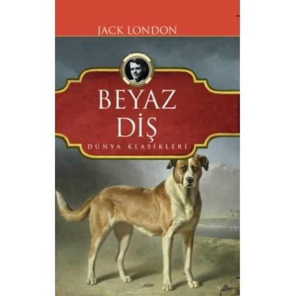 Beyaz Diş | Koloni (Ciltsiz)