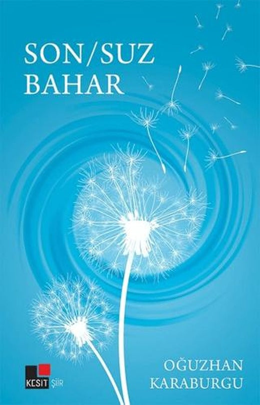 Son/Suz Bahar | Kesit Yayınları (Ciltsiz)