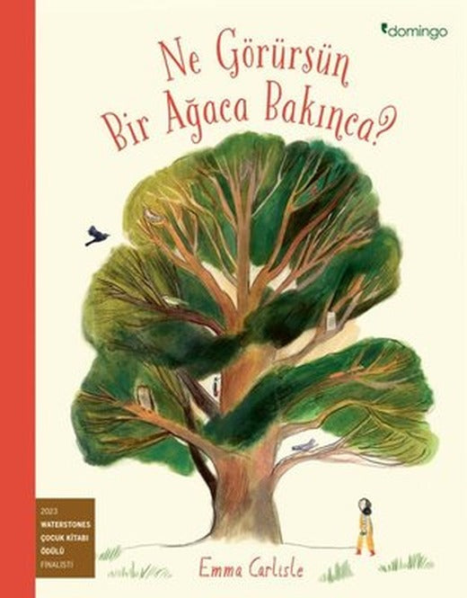 Ne Görürsün Bir Ağaca Bakınca? | Domingo Yayınevi