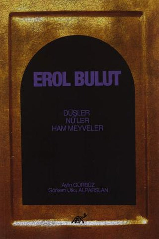 Erol Bulut | Paradigma Akademi Yayınları (Ciltsiz)