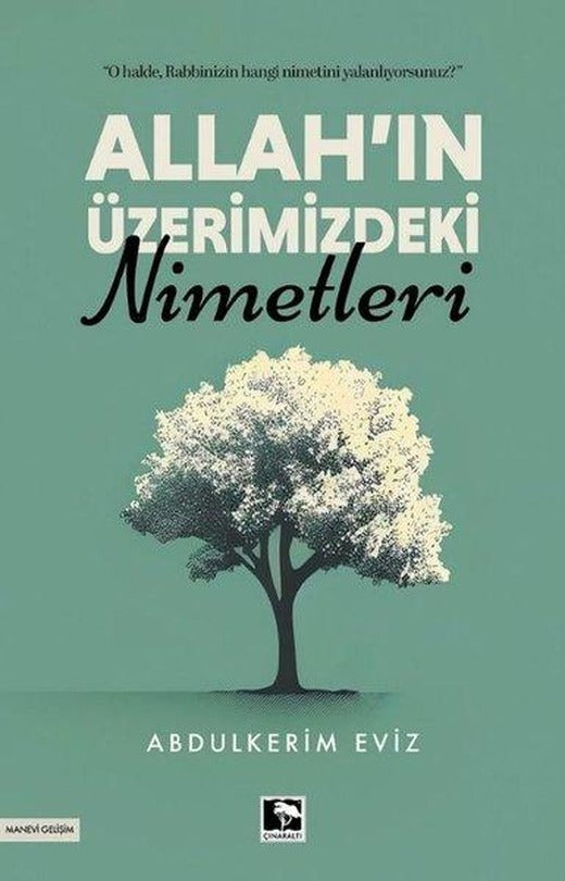 Allah'ın Üzerimizdeki Nimetleri | Çınaraltı Yayınları (İnce Kapak)