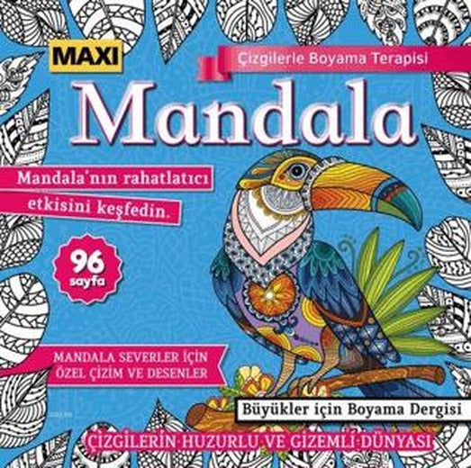 Maxi Mandala Çizgilerle Boyama Terapisi 11 | Maxi Yayıncılık (Ciltsiz)