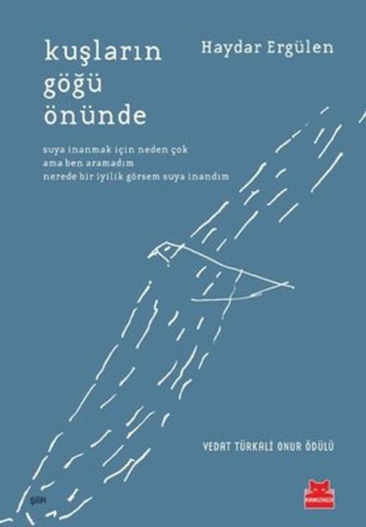 Kuşların Göğü Önünde | Kırmızı Kedi