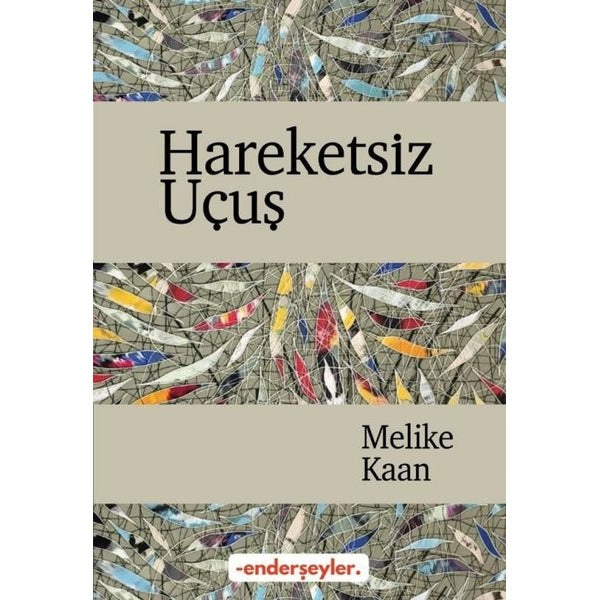 Hareketsiz Uçuş | Ender Şeyler Yayınları (İnce Kapak)