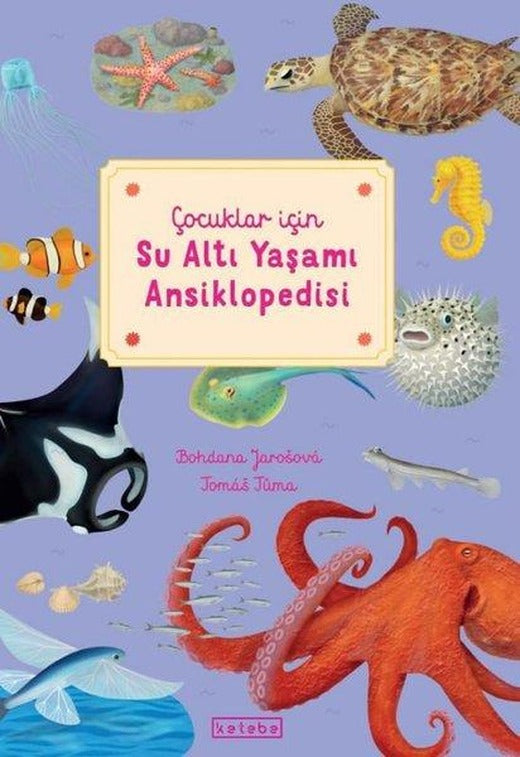Çocuklar İçin Su Altı Yaşamı Ansiklopedisi | Ketebe (Ciltli)