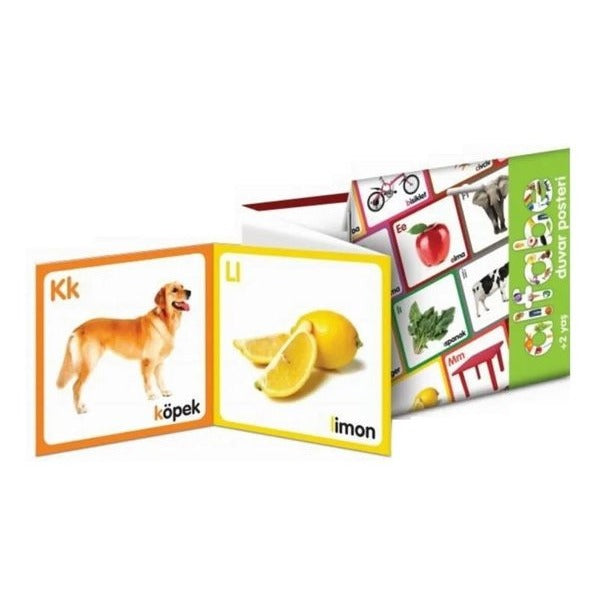 Alfabe Duvar Posteri | MK Publications
