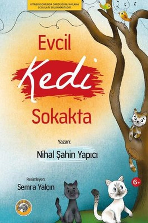 Evcil Kedi Sokakta | Akıllı Zebra (İnce Kapak)
