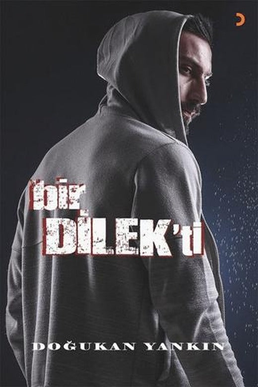 Bir Dilek'ti