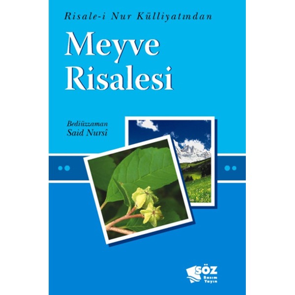 Meyve Risalesi