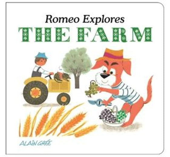 Romeo Explores The Farm