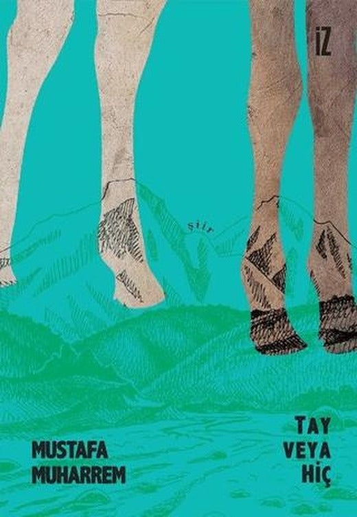 Tay veya Hiç | İz Yayıncılık (Ciltsiz)