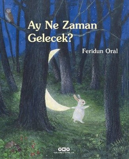 Ay Ne Zaman Gelecek? | Yapı Kredi Yayınları