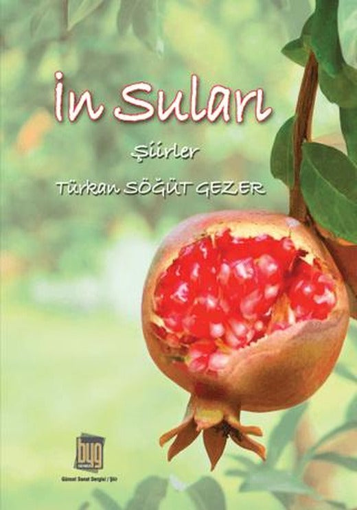 İn Suları
