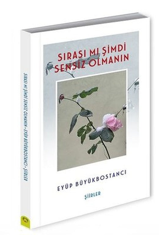 Sırası mı Şimdi Sensiz Olmanın | Alternatif Yayınları