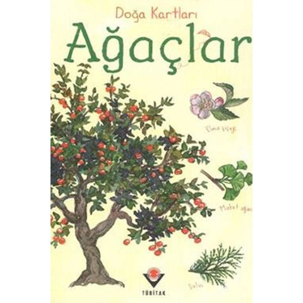 Doğa Kartları - Ağaçlar | Tübitak Yayınları