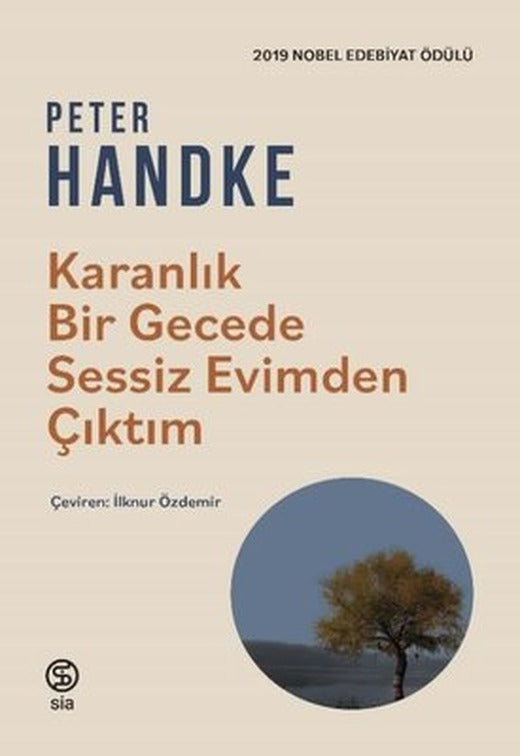 Karanlık Bir Gecede Sessiz Evimden Çıktım | Sia