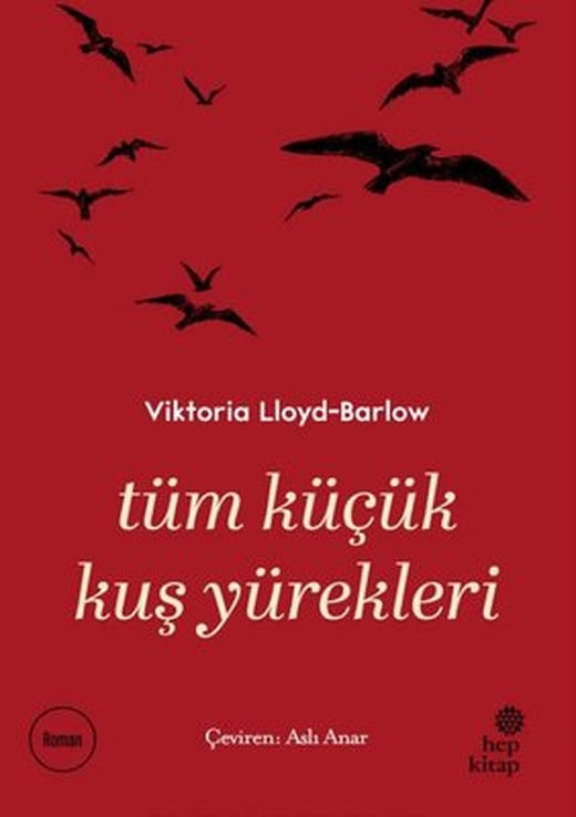 Tüm Küçük Kuş Yürekleri | Hep Kitap (İnce Kapak)