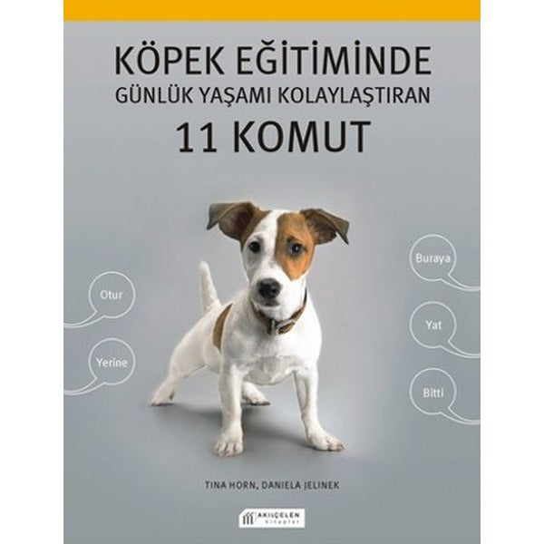 Köpek Eğitiminde Günlük Yaşamı Kolaylaştıran 11 Komut