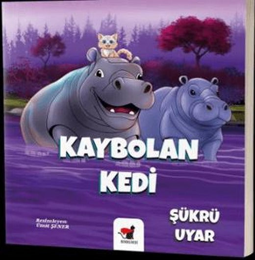 Kaybolan Kedi