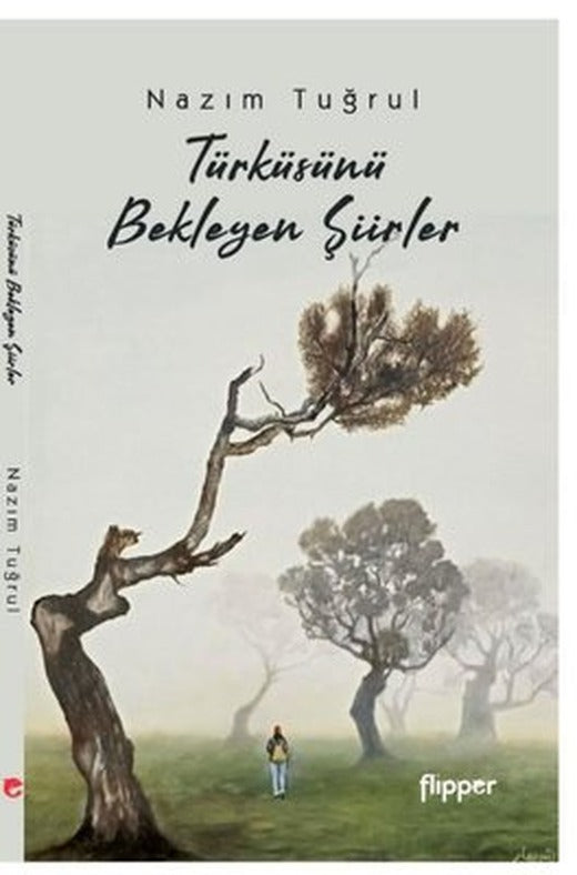 Türküsünü Bekleyen Şiirler | Flipper Yayıncılık