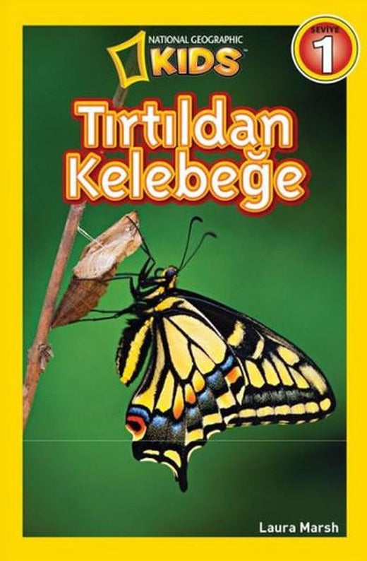 National Geographic Kids - Tırtıldan Kelebeğe | Beta Kids (İnce Kapak)