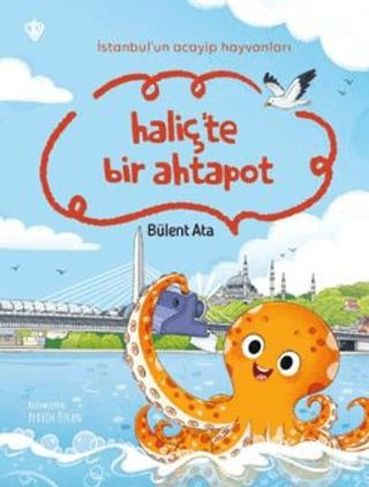 İstanbul’un Acayip Hayvanları Haliçte Bir Ahtapot