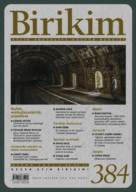Birikim Sosyalist Kültür Dergisi Sayı: 384 Nisan 2021 | Birikim Yayınları (Ciltsiz)