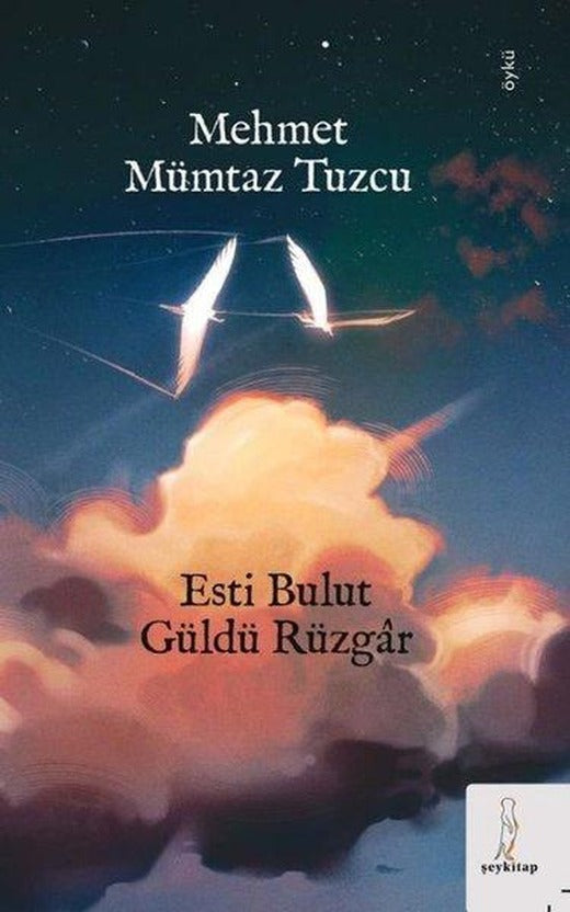 Esti Bulut Güldü Rüzgar | ŞEY Kitap (İnce Kapak)